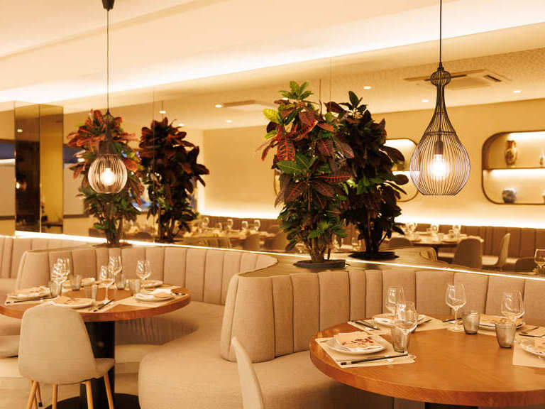 mejor restaurante chino palma | Restaurante Chino mejor restaurante chino palma | Restaurante asiático